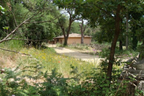 Les Rabassières, villa au coeur du massif des maures